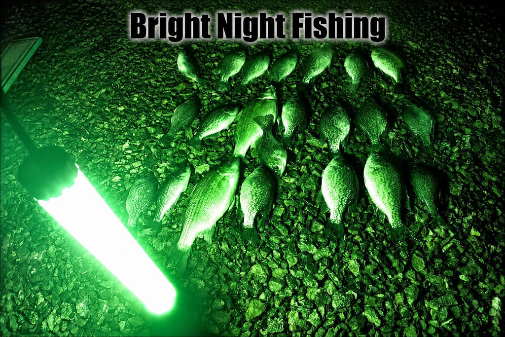 Underwater Cigarette Lighter Drop Light 300 LED Marine Light 15000 Lumen Dock