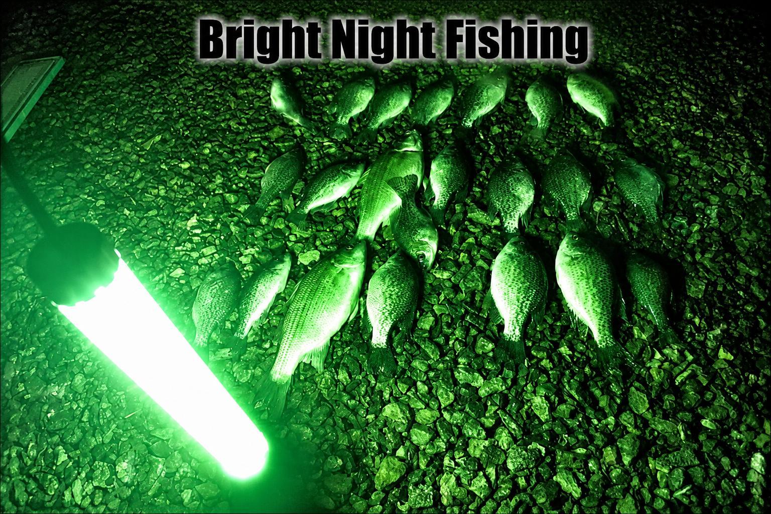 Underwater Cigarette Lighter Drop Light 300 LED Marine Light 15000 Lumen Dock